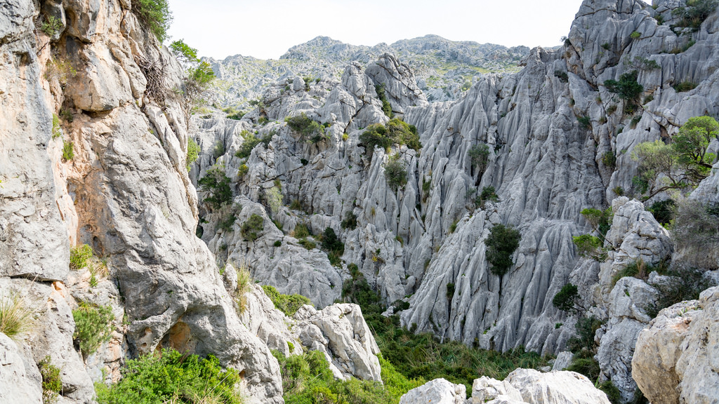 mortix. Barranquisme Mallorca